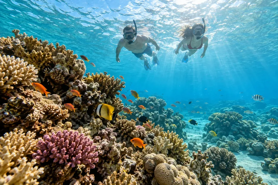 Hurghada Snorkelling Adventure