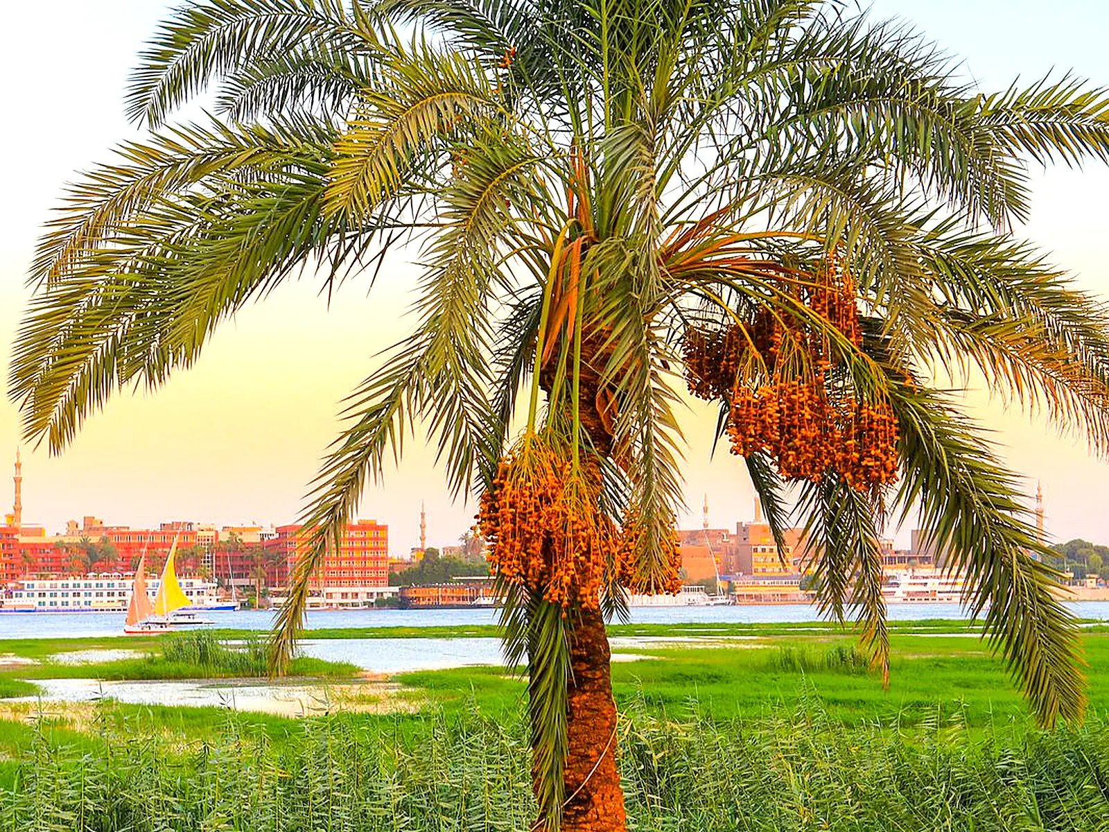 Royal Nile Villa — Luxury Nile View 1 — interior/exterior photo 4